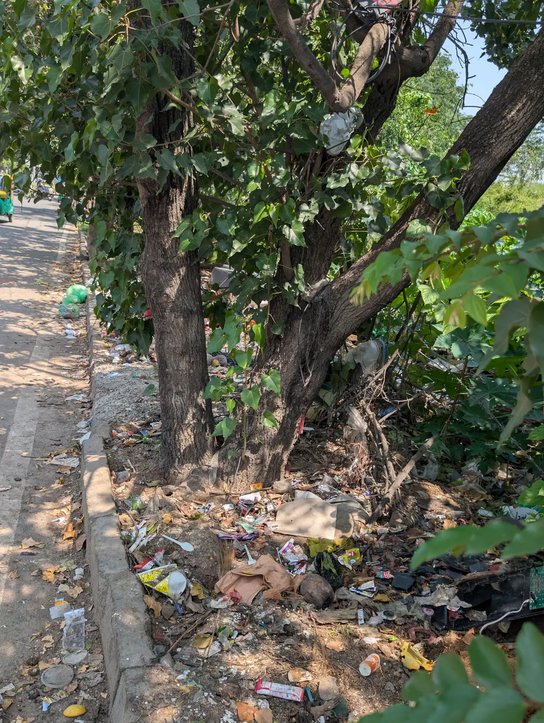 A municipal dump with trees, 10 Oct 2026