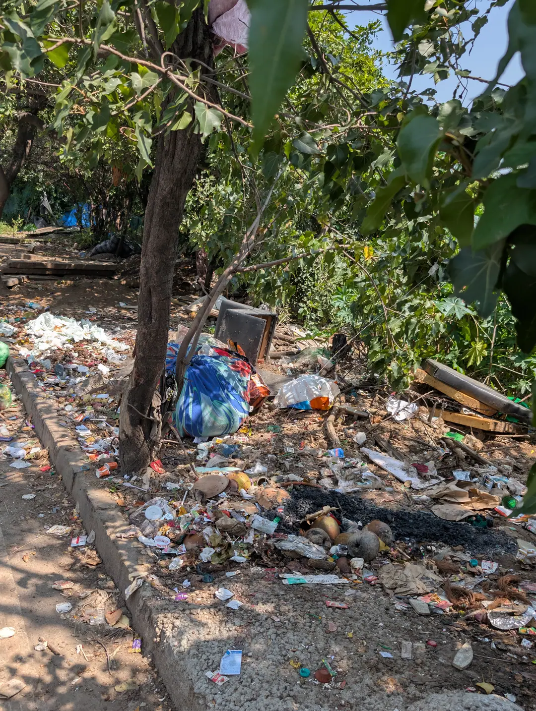 A municipal dump with trees, 10 Oct 2026