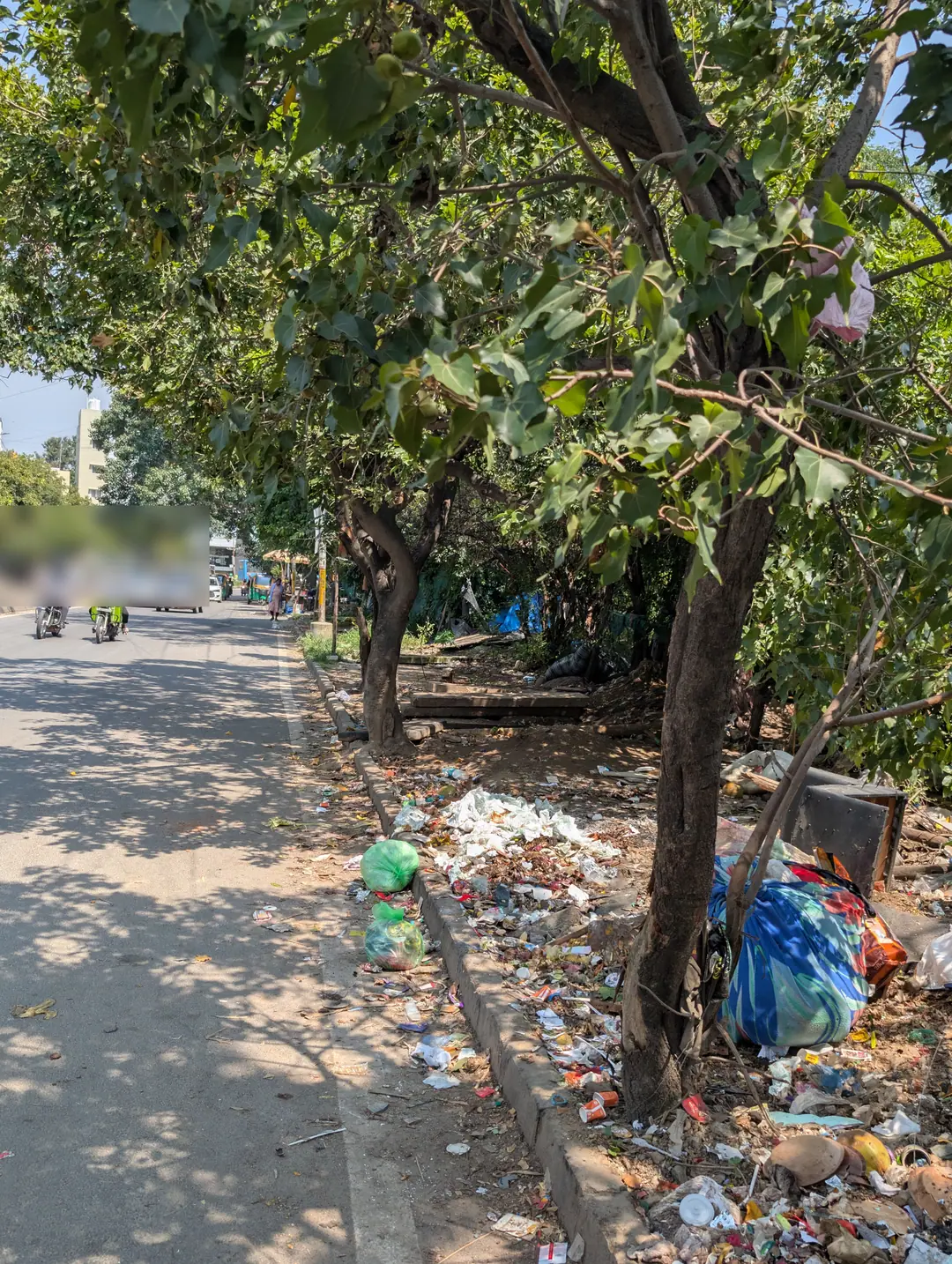 A municipal dump with trees