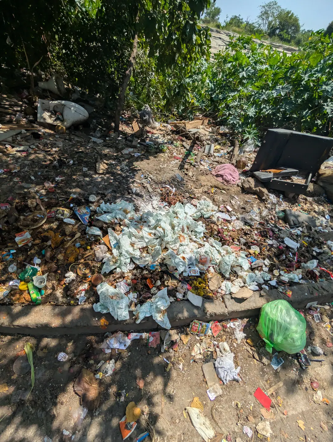 A municipal dump with trees, 10 Oct 2026