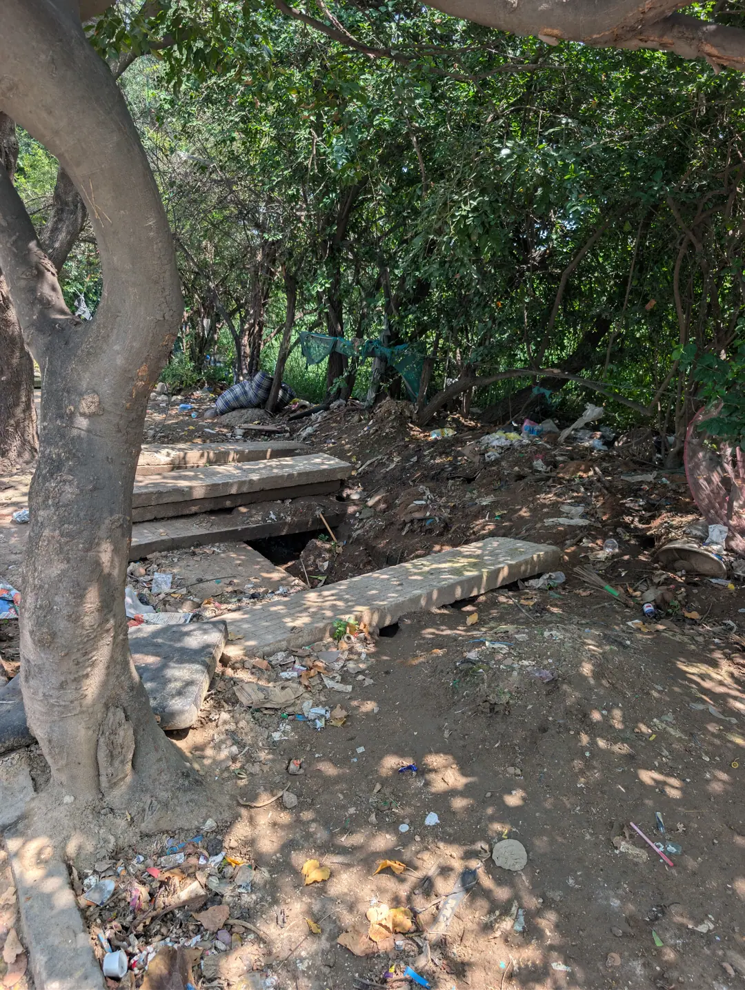 A municipal dump with trees — garbage, broken slab, open drain at Agara, Bengaluru