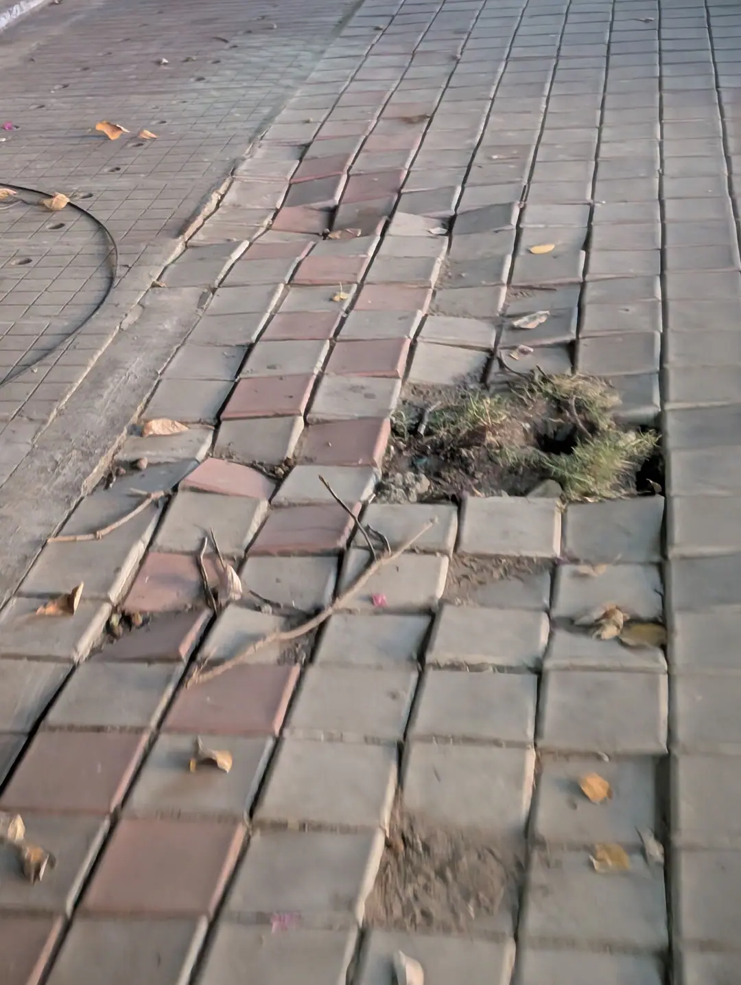 An open drain, a utility pole and a cave-in, 13 Oct 2026